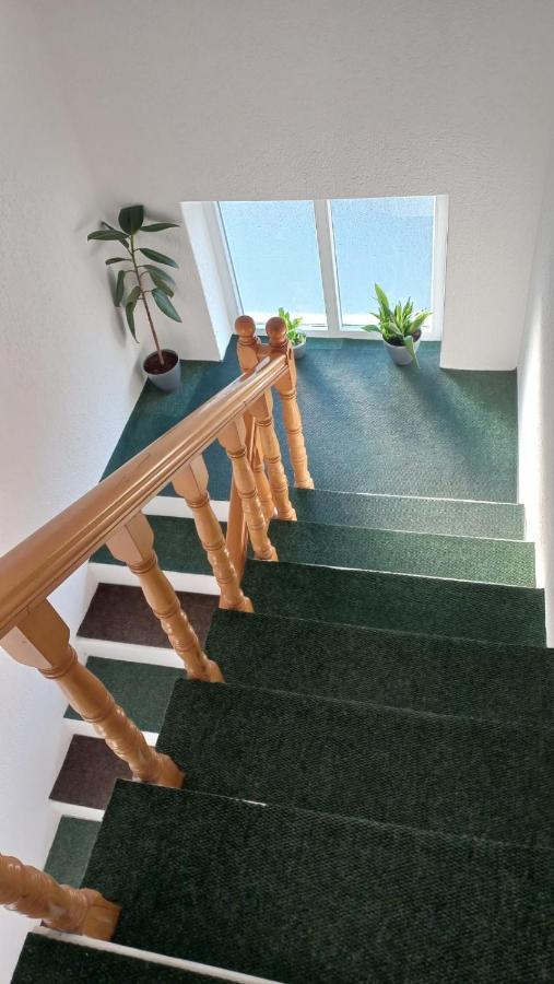 Apartman Sasa Vranje Extérieur photo